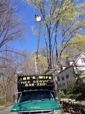 Abe's Wife Tree Service