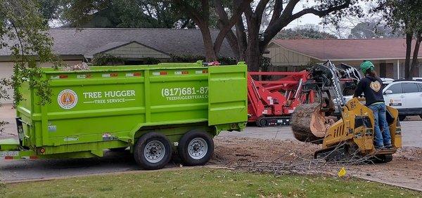 Skid steer in action, delivering one of the trunk sections to the waiting trailer