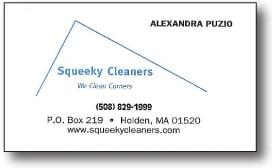 Squeeky Cleaners