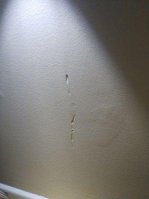 Termites hiding behind drywall