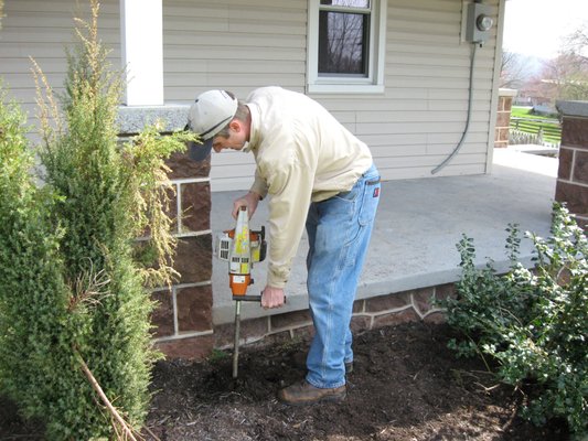 Termite Services