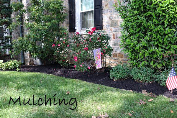 Mulching