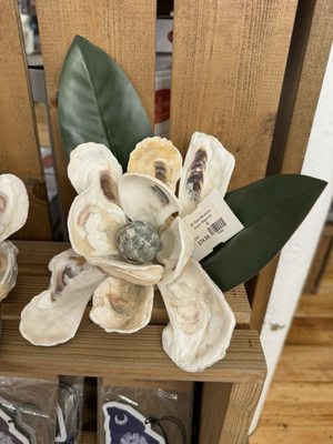 Magnolia oyster