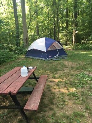 Grassy tent site