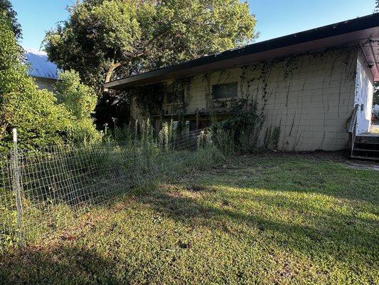 From what can be seen and smelled back here it's overgrown with decomposing dog feces.  Who wants their dog running around in that?