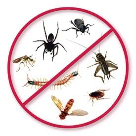 Exterminator Services Jackson MS