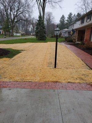 Fall grass seeding after pic