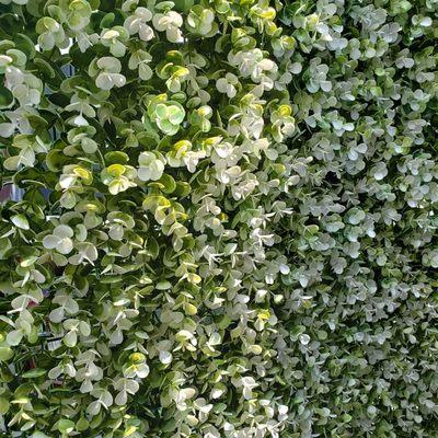 Flower wall available for rent, 4x8 or 8x8