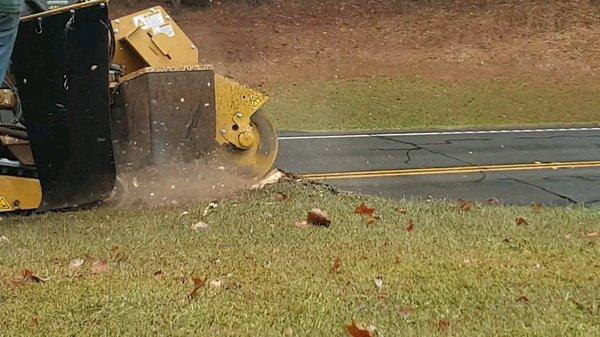 Cherokee Stump Grinding