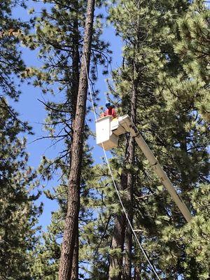 Topper's Tree Service