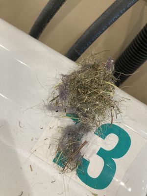 grass and dryer lint on top of the washer