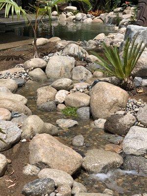 Koi pond into Pondless stream