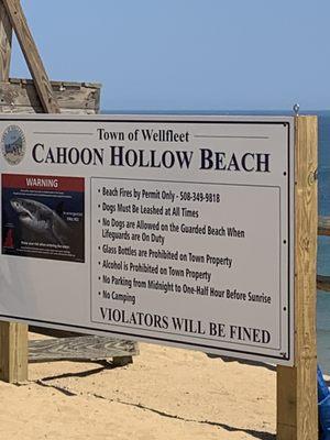 Cahoon Hollow Beach