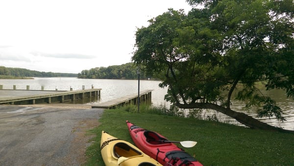 Chester River Kayak Adventures