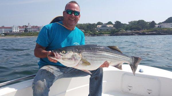 Beautiful striper caught in Kennebunkport.