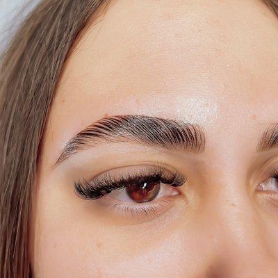 Eyebrow Lamination