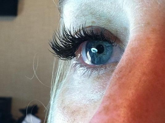 traditional 50X lashes