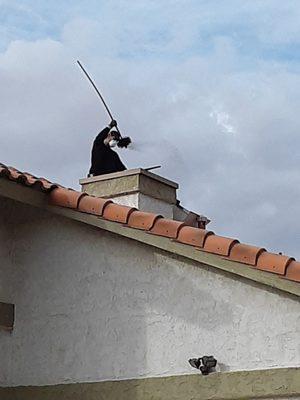 Chimney sweep service