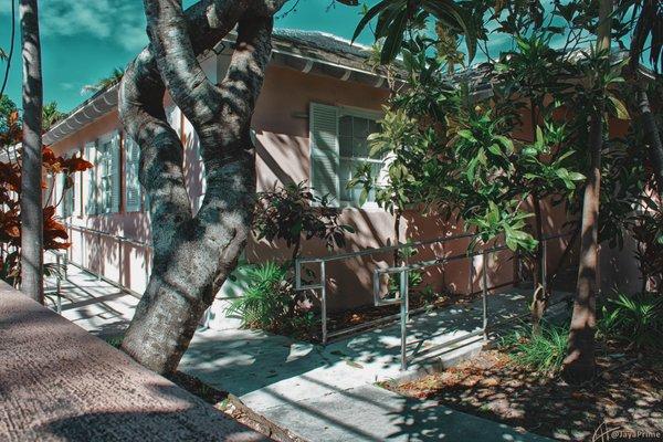 Back entrance to Key West Library