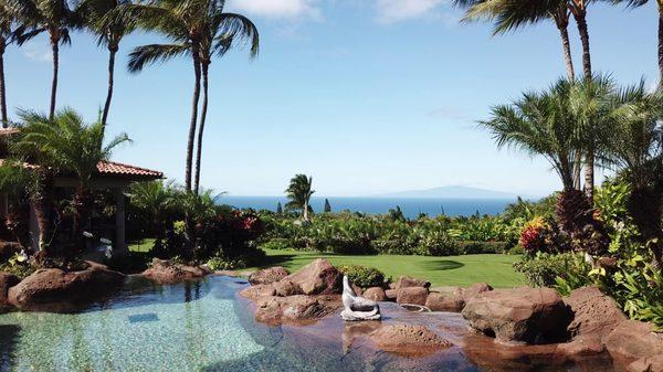 Let Maui HD take beautiful video of your real estate!