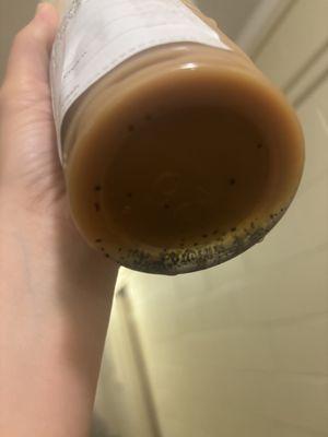 Mold at the bottom of my drink, probably came from Caramel pump