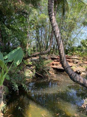 Designer landscaping if you want a pond in back yard for your alligator