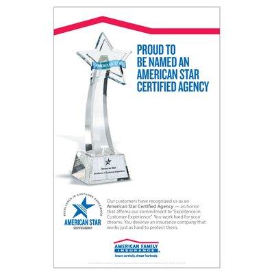 Our agency earned the American Star Award again in 2018!