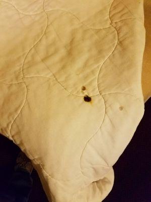 Nonsmoking room cigarette burns on bed linens