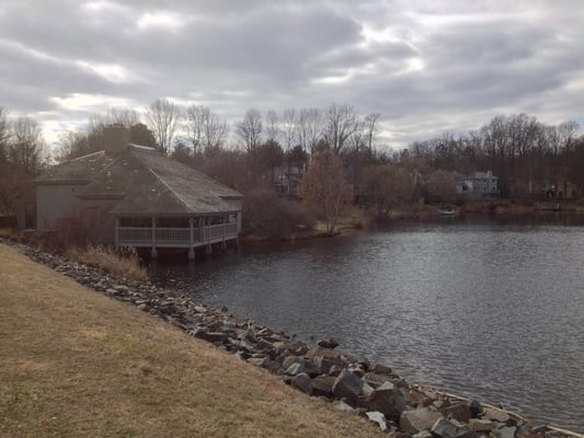 Tetra on Lake Newport