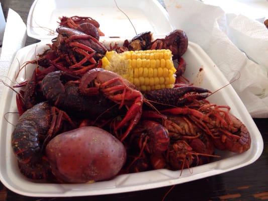 This year's crawfish festival, the (mud bugs). Were fantastic!!! Just the right amount of Cajun burn!!!