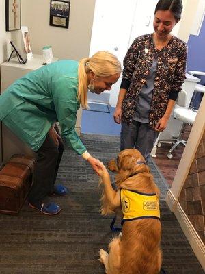 My canine companion dog meeting office staff