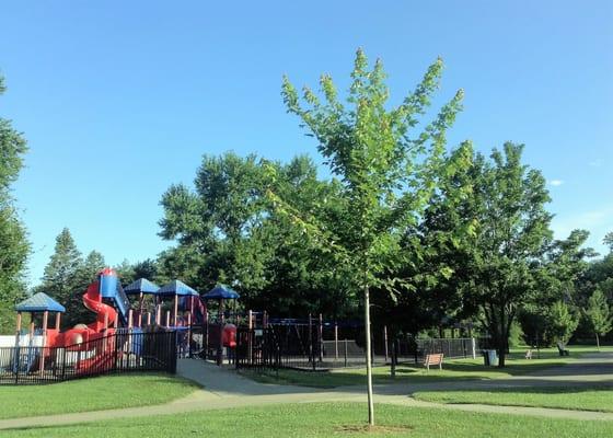 Rust Park playground area