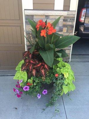 We specialize in custom spring and fall outdoor planting  for residential and business