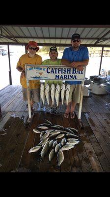 Sand bass early again. Took awhile for big fish to show up but we stayed with it and got it done!