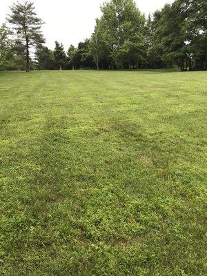 Finish mowing in newtown