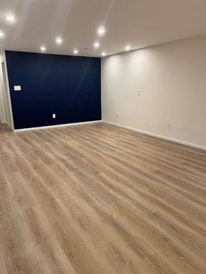 Painted Rec room and replaced flooring with LVP. Added overhead lighting.