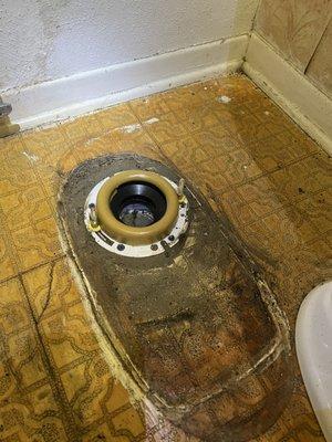 Toilet flange repair