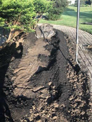 Mulch bed recovery. Entire area had "Speed Weed/ Vine's" that used the ground cover to inundate the bed.