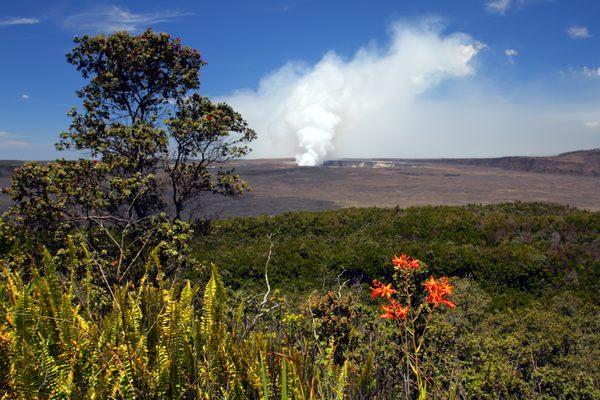 Halemaumau Crater (808) 539-9400