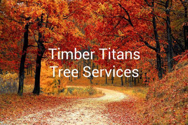 Timber Titans tres services