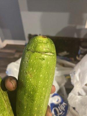 Zucchini had hair growin from it