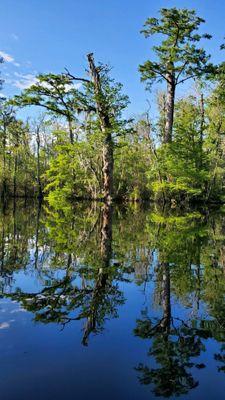 More reflections, peaceful beautiful paddling!