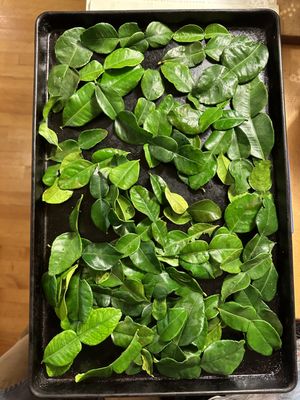 Kaffir lime leaves.  I only needed 5 for my soup recipe, but the smallest bag held this many!  Please package smaller amounts for home cooks