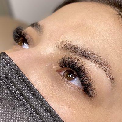 Volume Lashes