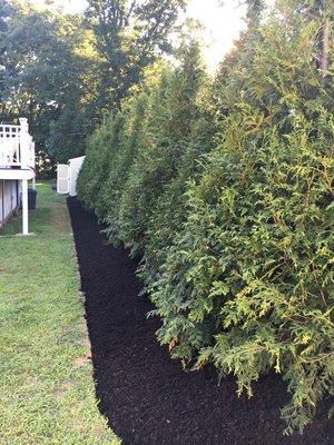 Mulching and edging