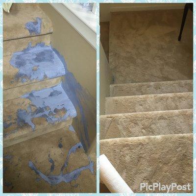 Before and After a gallon of purple/blue paint spilled all over my carpet. THANK YOU CORT CARPET CLEANING!!!