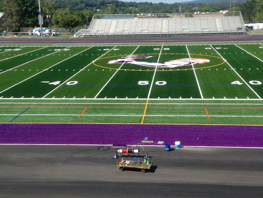 Danville turf