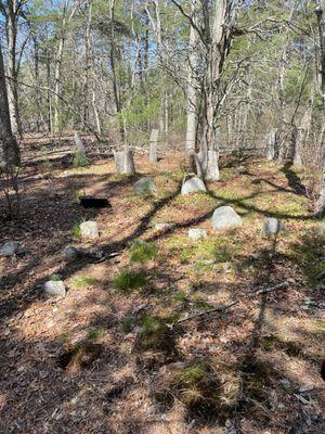 An historic cemetery along the trails