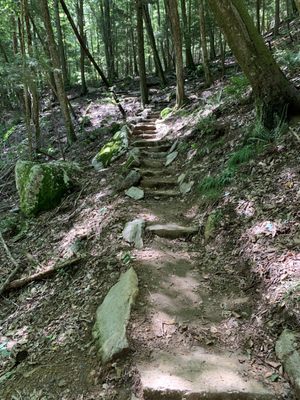 Stone steps. Not particularly challenging, but not wheelchair accessible