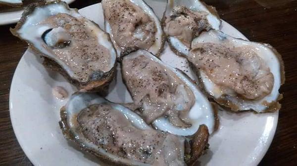 THE BEST FRESH RAW OYSTERS IVE EVER HAD BIG FAT AND MEATY ONLY ATE 30